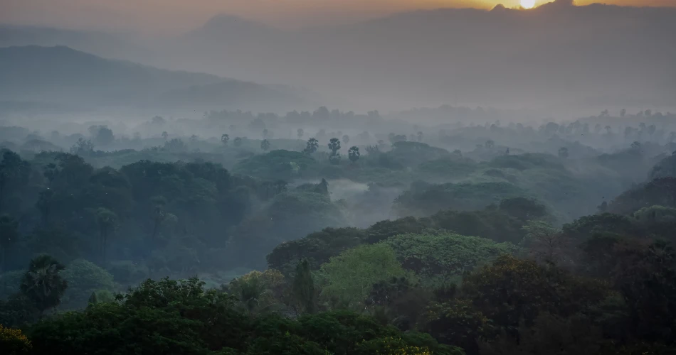 Mejores lugares en Mumbai para entusiastas de la fotografía